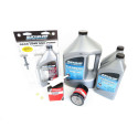 Onderhoudskit Mercury 80 CV EFI 2.1L 4-takt Injectie 100h-2