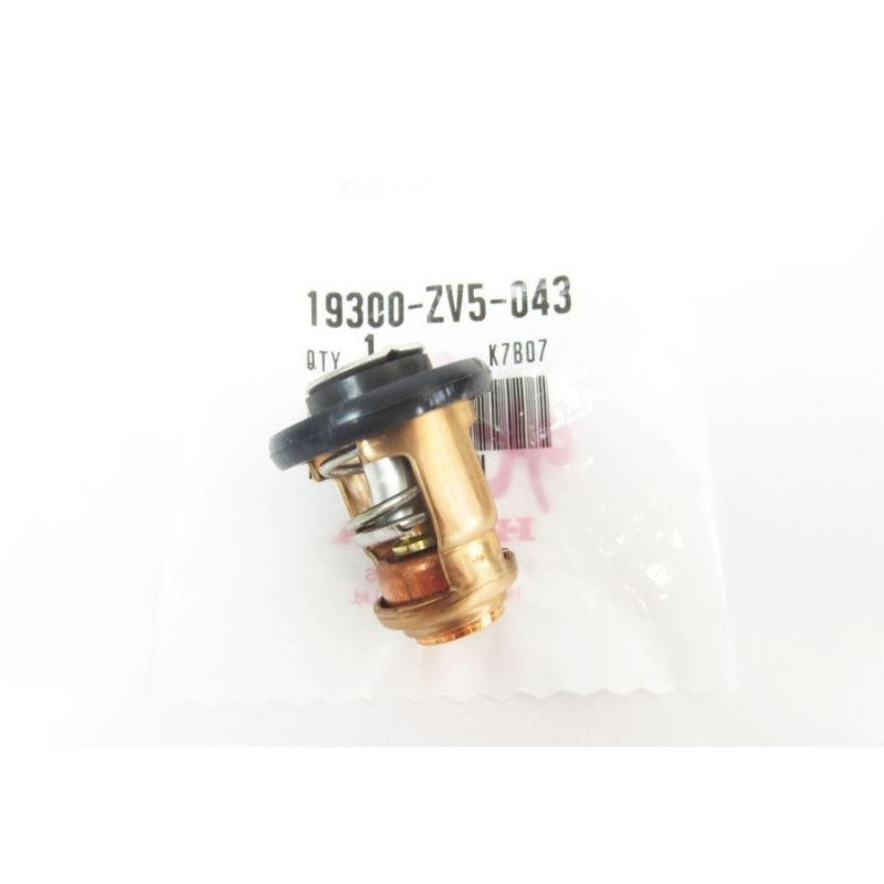 Thermostat d'Origine Honda BF45