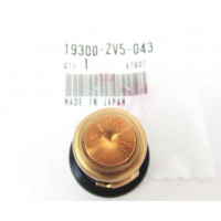 Thermostat d&#039;Origine Honda BF75