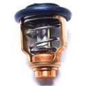 Thermostat Suzuki DF80