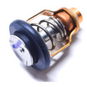 Thermostat Suzuki DF115