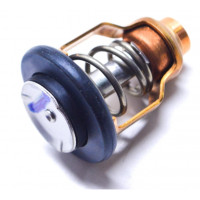 Thermostat Suzuki DF200