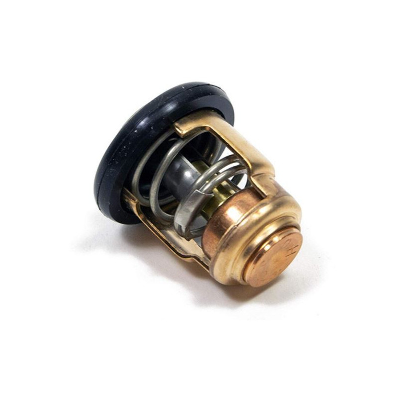 Thermostat Yamaha 40CV 2T